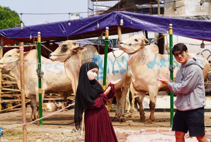 Hewan Qurban Sebagai Kendaraan Di Akhirat - Content