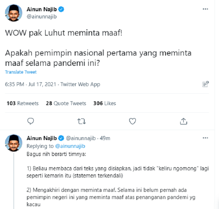 Cuitan Ainun Najib mengomentari permintaan maaf Luhut Binsar Pandjaitan.