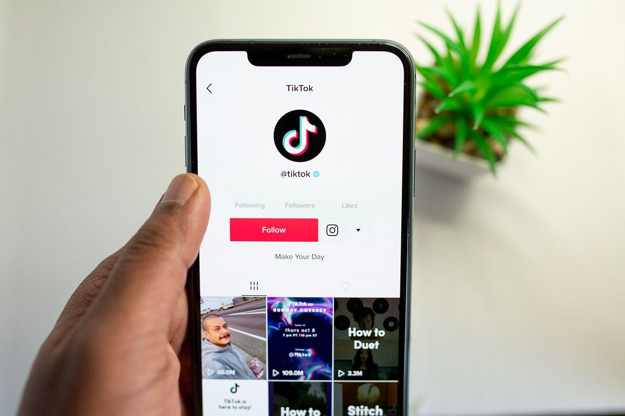 Pengunduh video tik tok mp3
