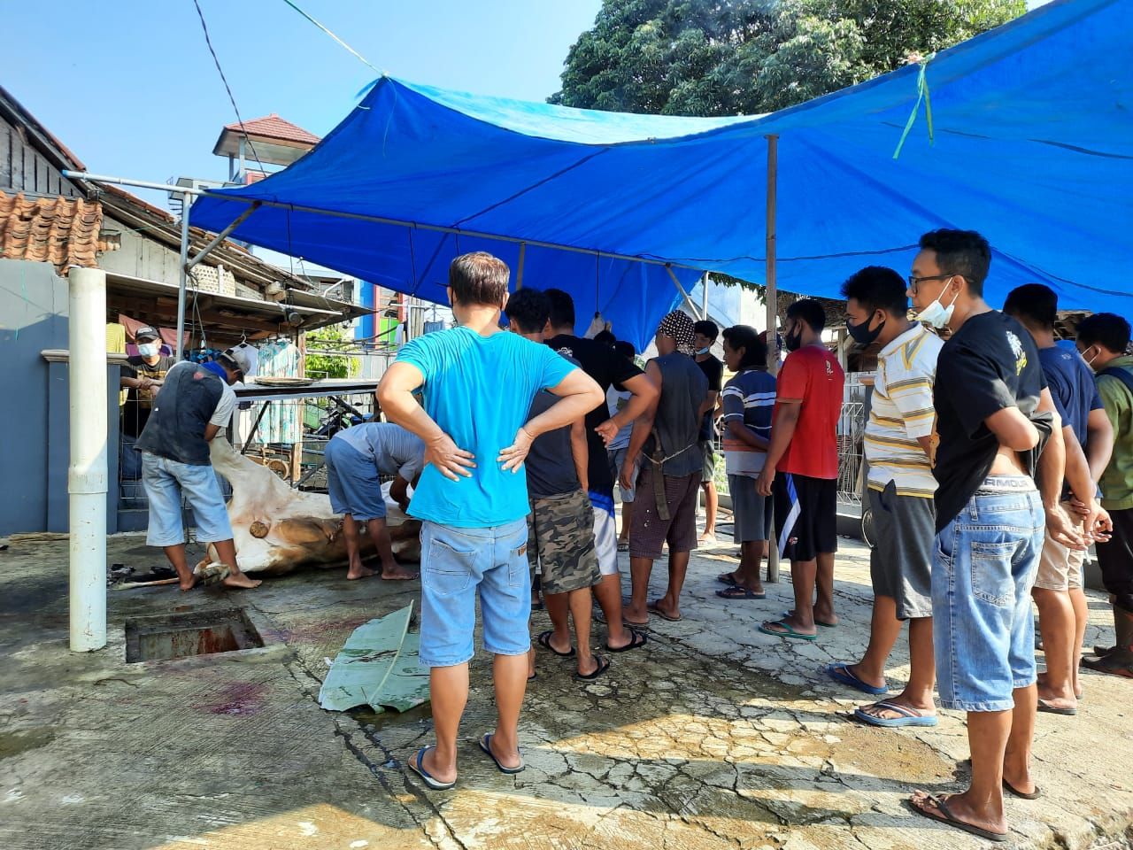 Warga Pangandaran tengah menyembelih hewan kurban di Hari Raya Idul Adha dalam kondisi PPKM Darurat.