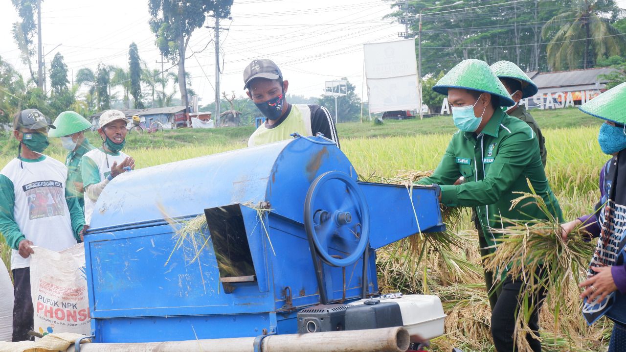 Ketua DPC PKB Cilacap bersama petani menggiling padi yang baru dipanen, Jumat, 23 Juli 2021