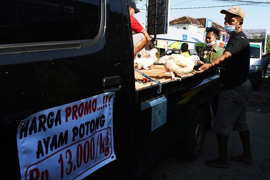 peternak ayam potong di jawa timur