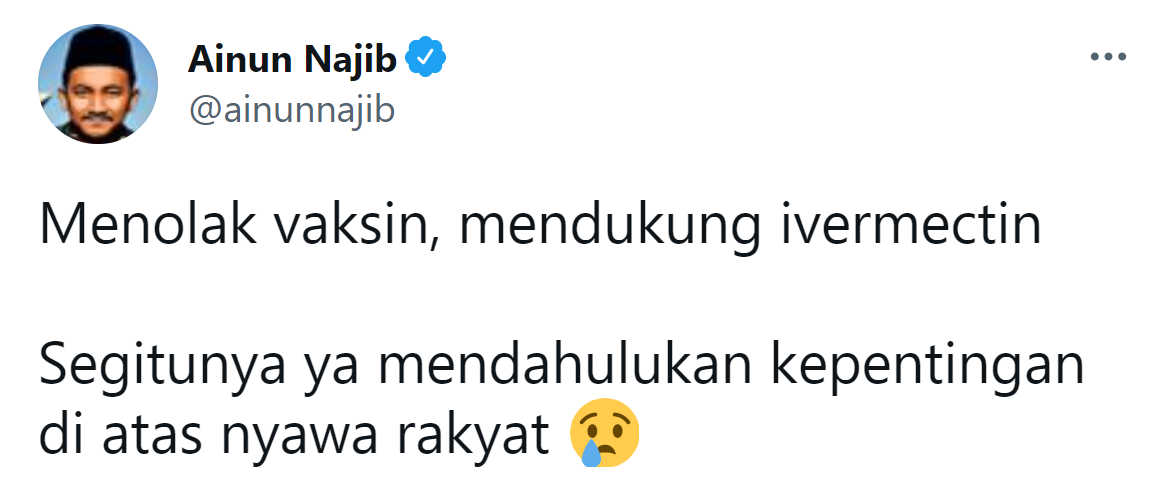 Tangkapan layar cuitan Ainun Najib./Twitter/@ainunnajib