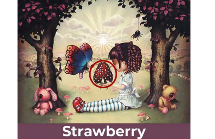 Strawberi merupakan gambar yang pertama kali dilihat.