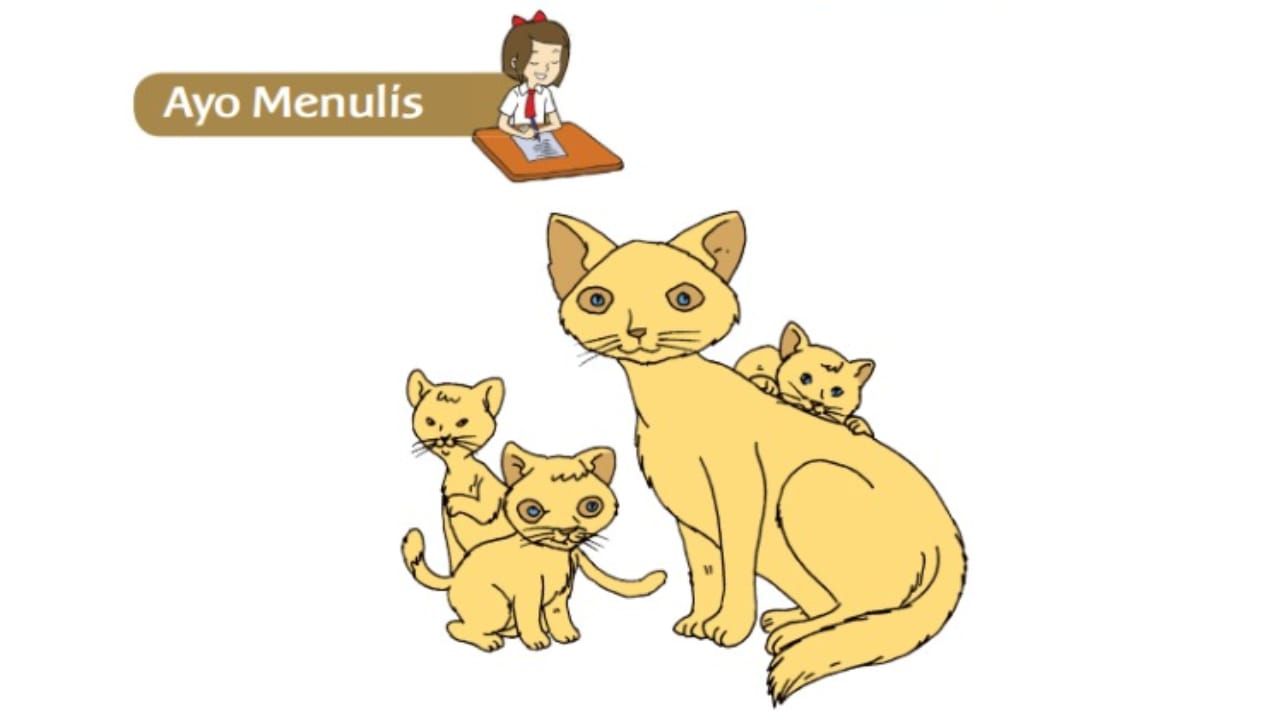 Kunci Jawaban Tema 1 Kelas 3 Sd Dan Mi Halaman 109 Subtema 3 Tentang Pertumbuhan Kucing Portal Jember