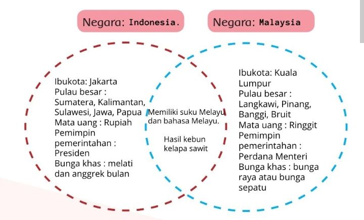 Persamaan dan Perbedaan Indonesia dengan Malaysia Secara Lengkap