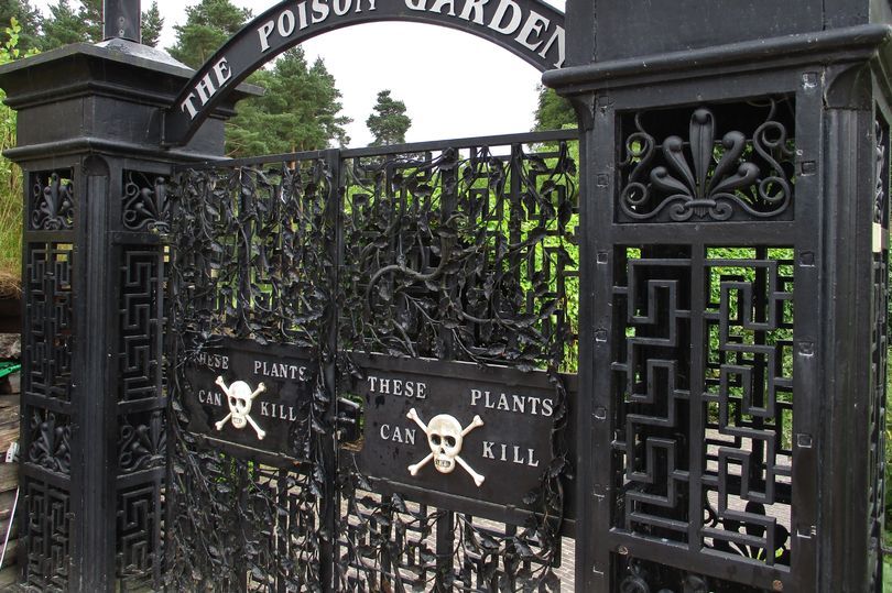  Pintu Gerbang The Poison Garden di Alnwick Garden, Northumberland dengan peringatan tentang bahayanya tanaman yang tumbuh di tempat itu.  
