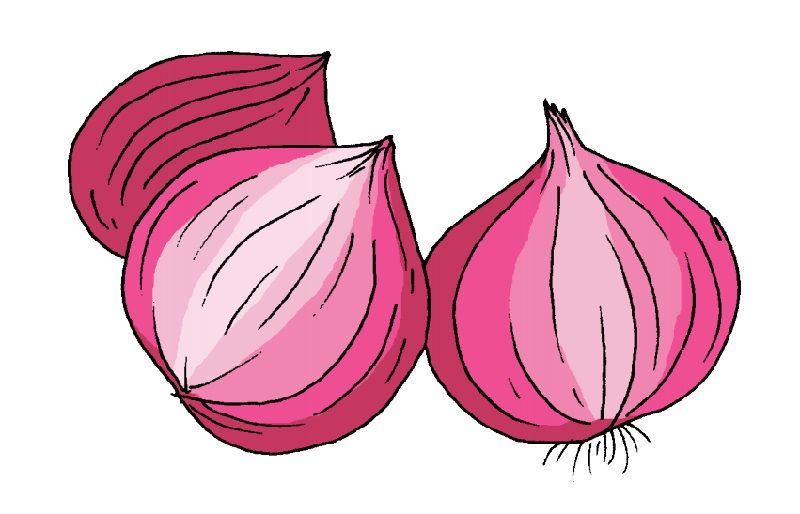 Mengapa Bawang Merah Disebut Umbi Lapis Materi Tema 1 Kelas 3 Sd Mi Halaman 168 Subtema 4 Portal Jember