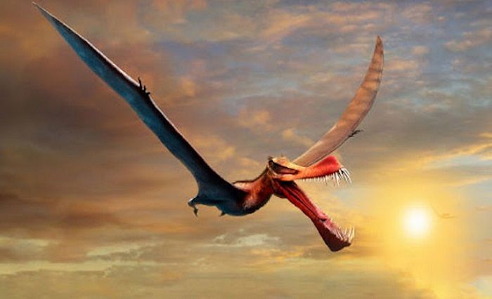 Pterosaurus memiliki lebar sayap tujuh meter - dan sekitar 40 gigi di dalam tengkoraknya yang besar.*  