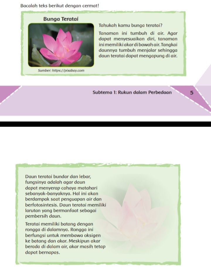 Adaptasi Bunga Teratai Dengan Lingkungan Tematik Kelas 6 Tema 2 Subtema 1 Halaman 6 Beserta Link Kabar Lumajang