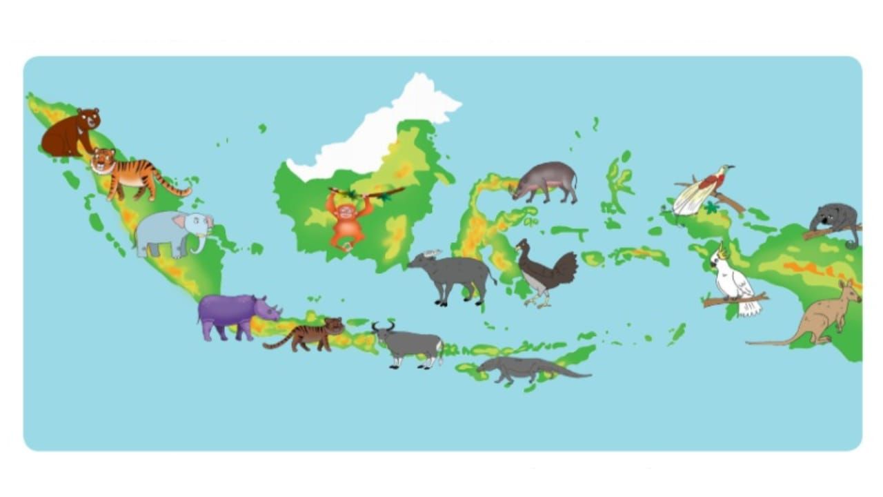 Tentukan Ide Pokok Dari Masing Masing Paragraf Bacaan Beragamnya Flora Dan Fauna Indonesia Kelas 5 Sd Hal 97 Portal Jember Halaman 2