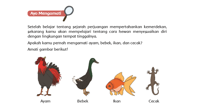 Kunci Jawaban Tema 2 Kelas 6 Sd Mi Halaman 45 46 48 49 50 Subtema 2 Tentang Ciri Ciri Hewan Dan Habitatnya Kabar Lumajang