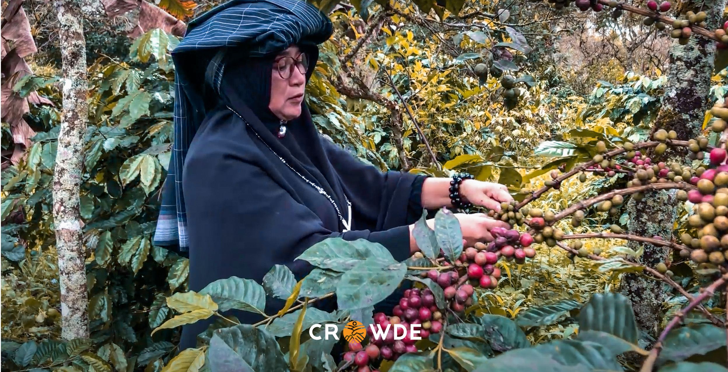 Ilustrasi petani perempuan, dapatkah mereka menjadi agropreneur yang tangguh?