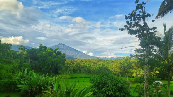 Pemandangan indah gunung Rinjani dari balik hijaunya tanam menjadi daya tarik utama mengapa desa Tete Batu layak menjadi tempat ideal bersantai.