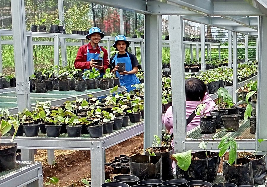 Petani milenial berlatih budidaya tanaman hias di Satuan Pelayanan Margahayu Lembang Balai Benih Hortikultura Dinas Tanaman Pangan dan Hortikultura Provinsi Jawa Barat