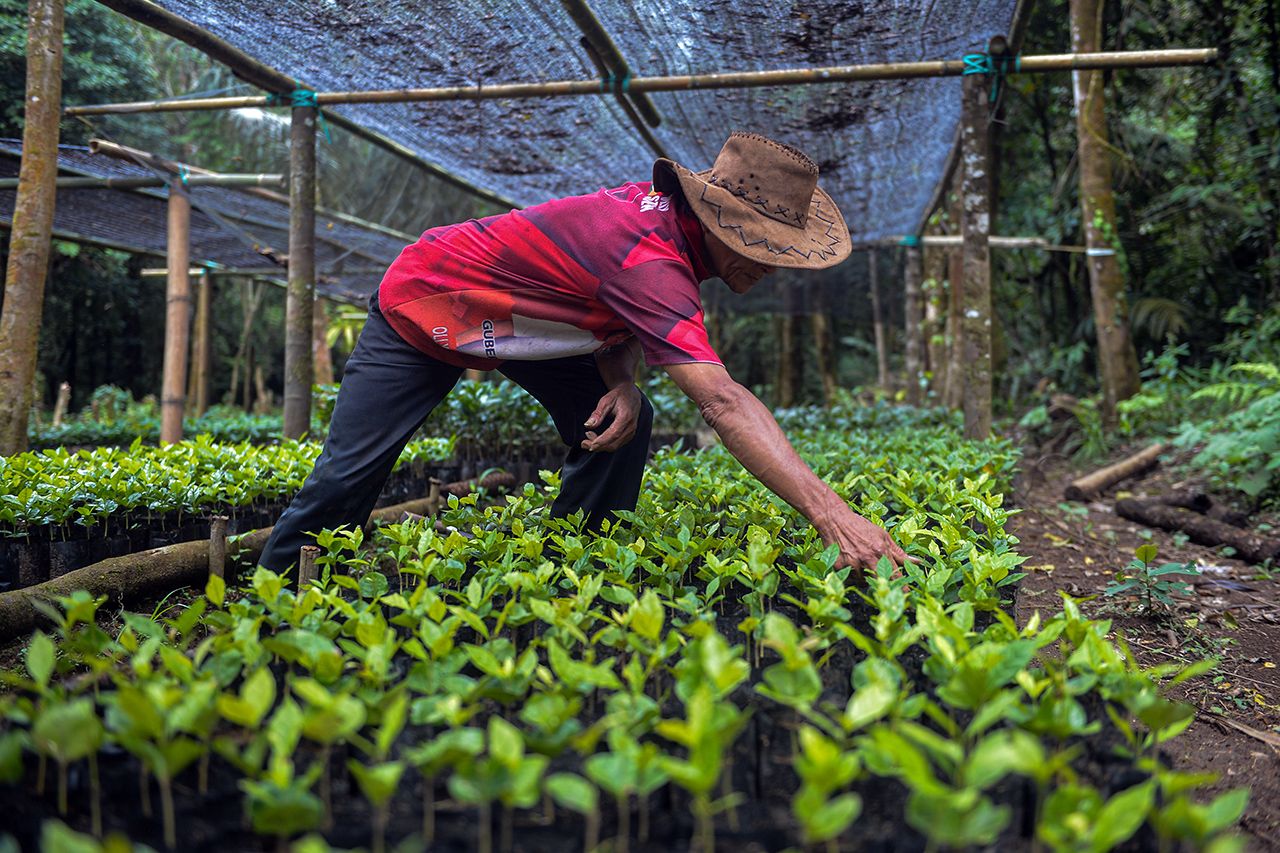 bisnis modal kecil di kampung