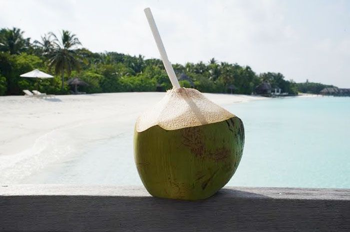 Bolehkah Minum Air Kelapa Setiap Hari Begini Penjelasan Singkat Dari Dr Zaidul Akbar Portal Jember