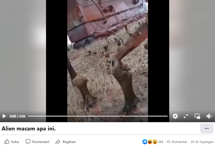 Video hoaks yang diklaim menampilkan alien.
