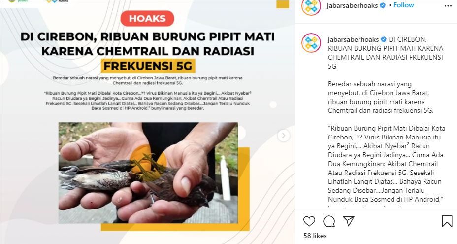Verifikasi narasi yang menyebut ribuan burung pipit mati di Cirebon akibat chemtrail dan radiasi gelombang 5G.