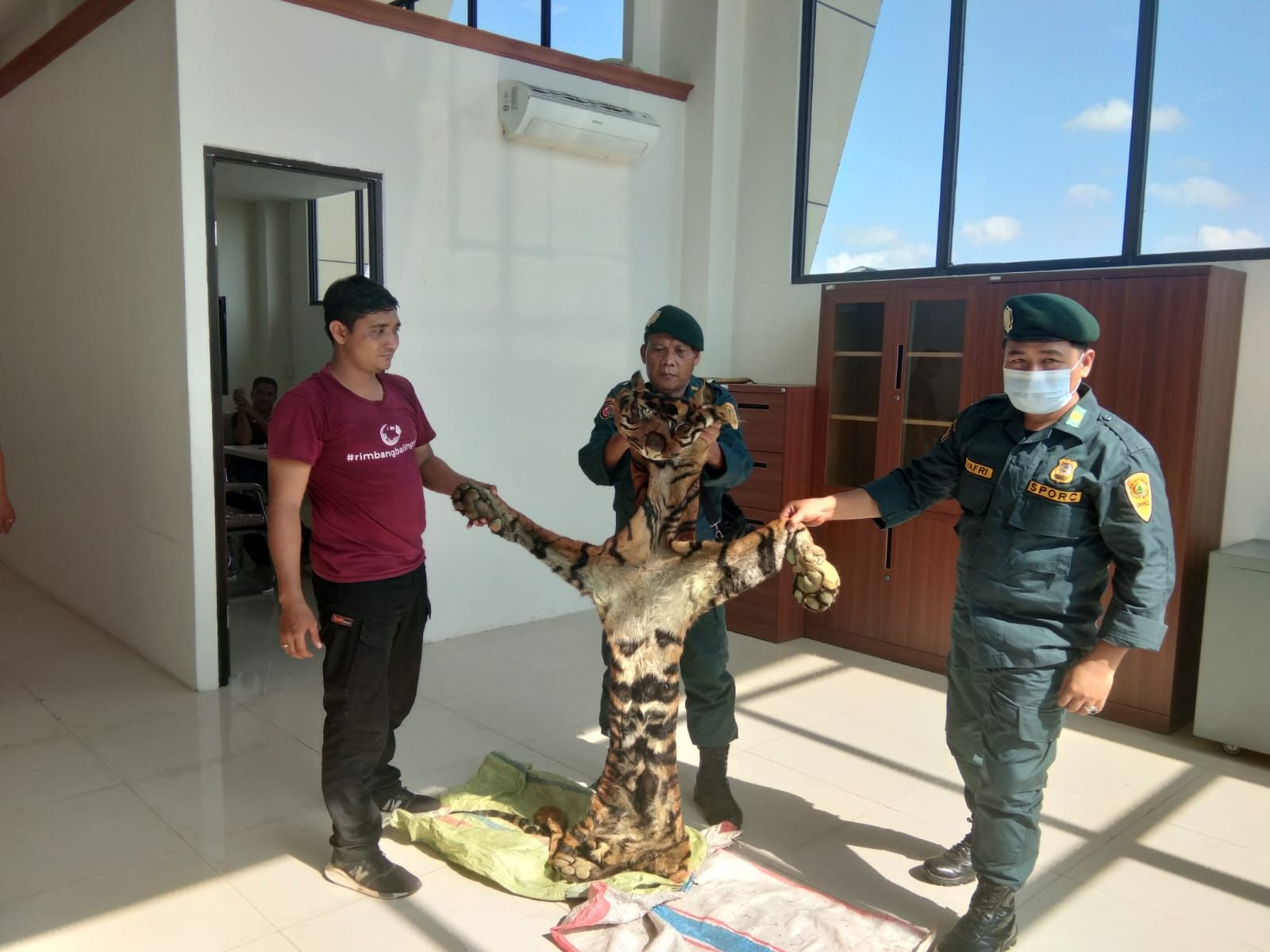 penangkapan 4 pelaku pemburu dan penjual kulit Harimau Sumatera 
