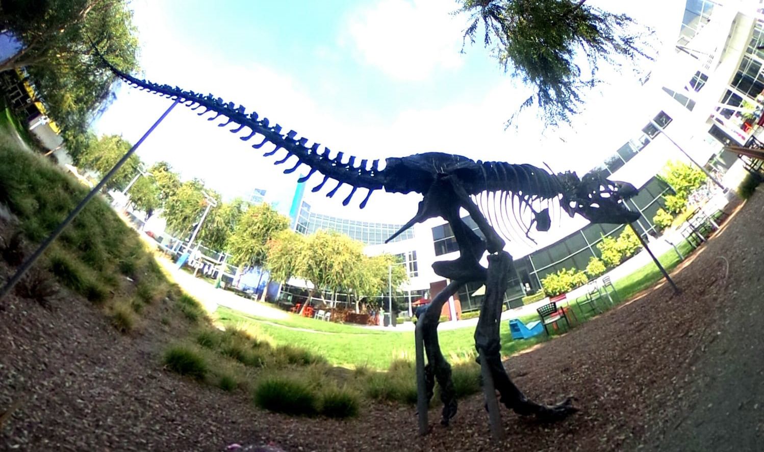 Rangka Tyrannosaurus Rex di kantor Google, Mountain View, California, Amerika Serikat.