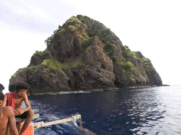 Suara burung walet laut prlasopa Suara burung walet laut prlasopa