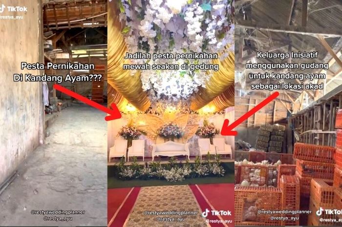 Tangkapan layar video viral Kandang Ayam disulap mejadi tempat Pesta Pernikahan mewah.