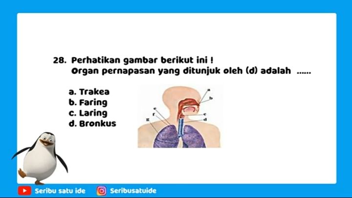 Kunci jawaban soal UTS PTS IPA kelas 5 semester 1 untuk part III