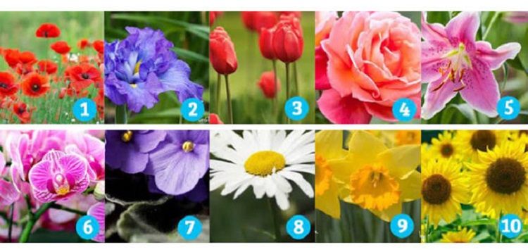 Tes Kepribadian: Pilih Gambar Bunga yang Paling Menarik, Jawabannya Ungkapkan Sifat Imajinasi Anda
