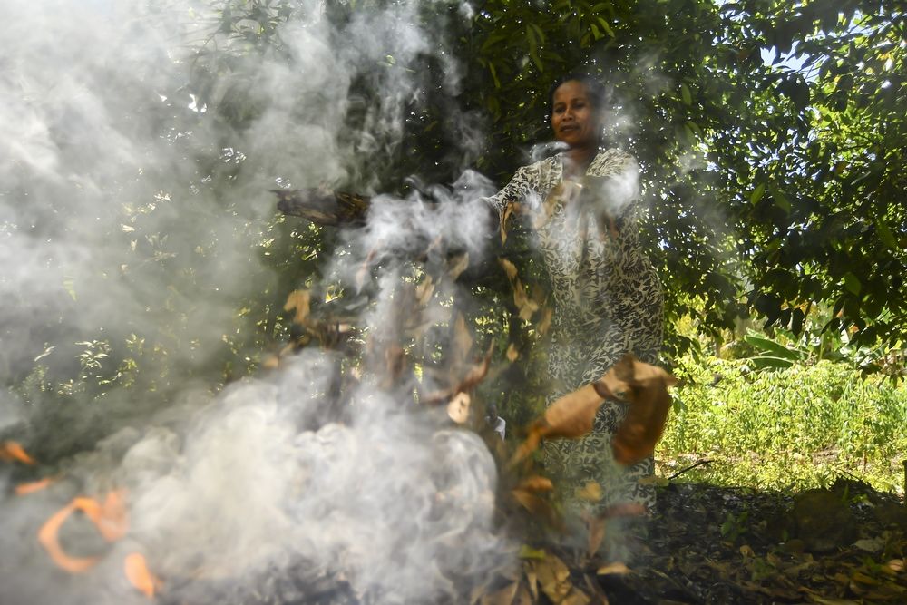 Seorang warga membakar daun kering di area perkebunan pala di Pulau Run, Banda, Maluku Tengah. 