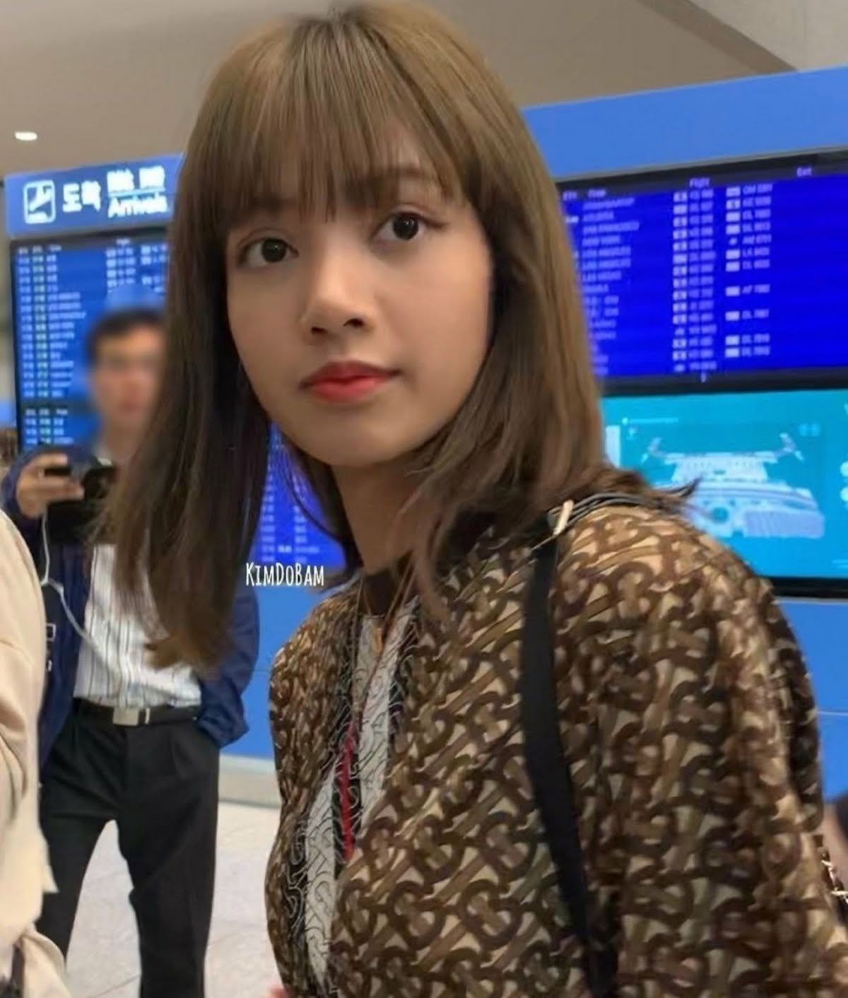 Lisa di Bandara