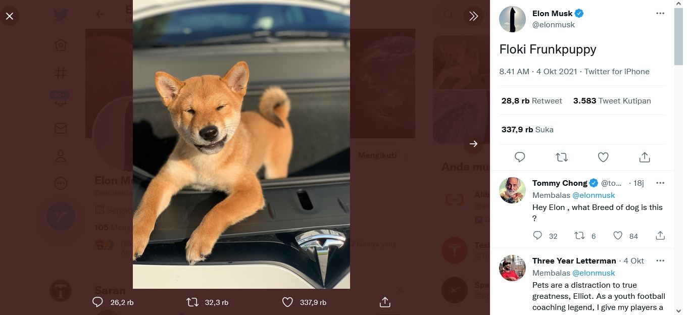 unggahan foto anjing jenis Shiba Inu di akun Twitter @elonmusk