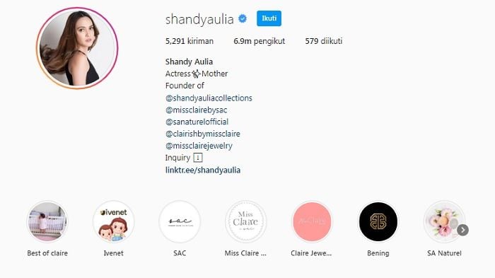 Bio Instagram Shandy Aulia yang kini hanya bertuliskan aktris dan ibu