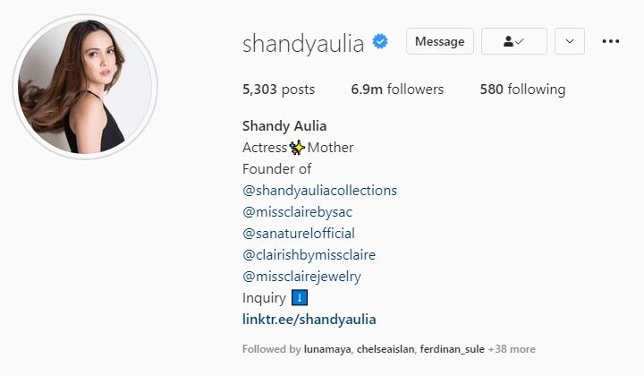 Shandy Aulia Hapus Status 'Wife' dari Bio Instagram, Diisukan Alami Keretakan Rumah Tangga dengan David Herbowo
