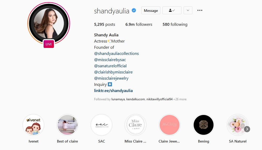 identitas aktris Shandy Aulia di Bio Instagram telah berubah