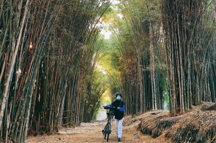 Salah Satu Tujuan Wisata di Surabaya, Hutan Bambu Keputih.