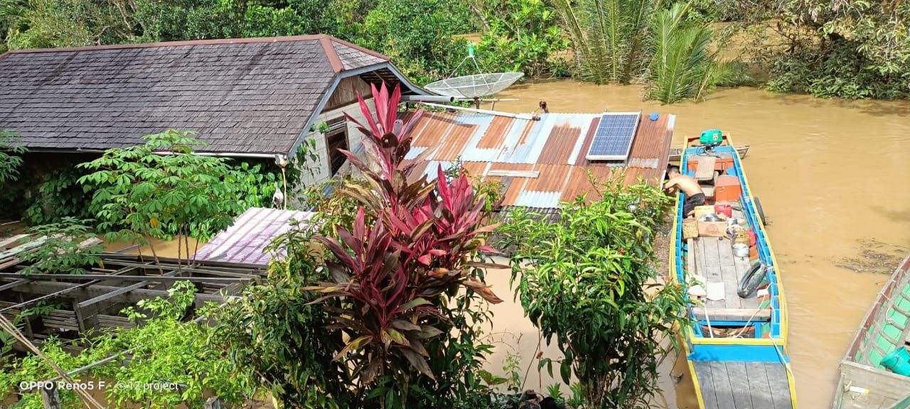 Nyari tenggelam oleh banjir. Bencana ini terjadi sejak satu pekan lalu di Kabupaten Sintang, Provinsi Kalimantan Barat, berangsung surut. Warga Sintang masih diliputi cemas dengan datangnya banjir susulan.