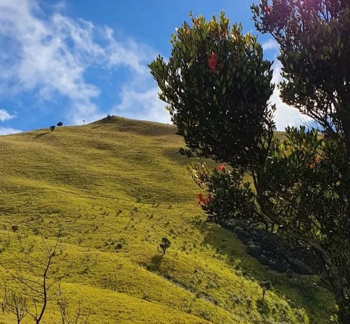 Pendakian Taman Nasional Gunung Merbabu jalur Suwanting dan Wekas resmi dibuka 9 Oktober, wajib booking di situs ini.