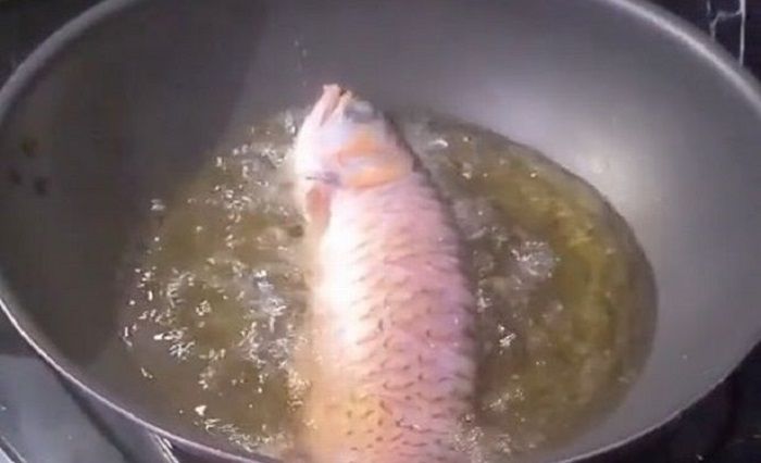 Seorang istri menggoreng ikan Arwana yang harganya mahal karena kesal dengan perilaku suami.*  