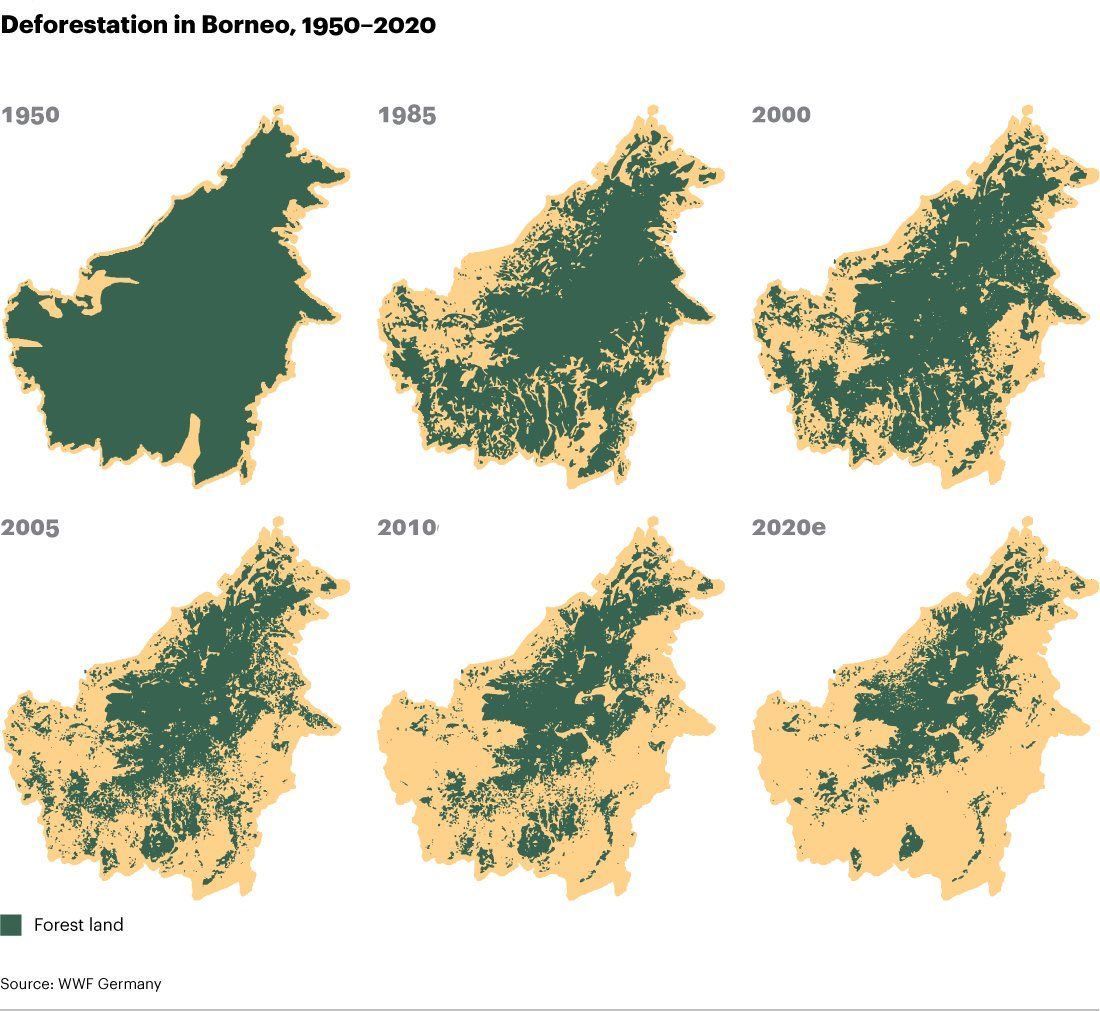 Bandingkan Kenampakan Hutan pada Tahun 1950 dan tahun 2010, Mengapa Kenampakan Hutan di Tahun Tersebut Sangat Berbeda?