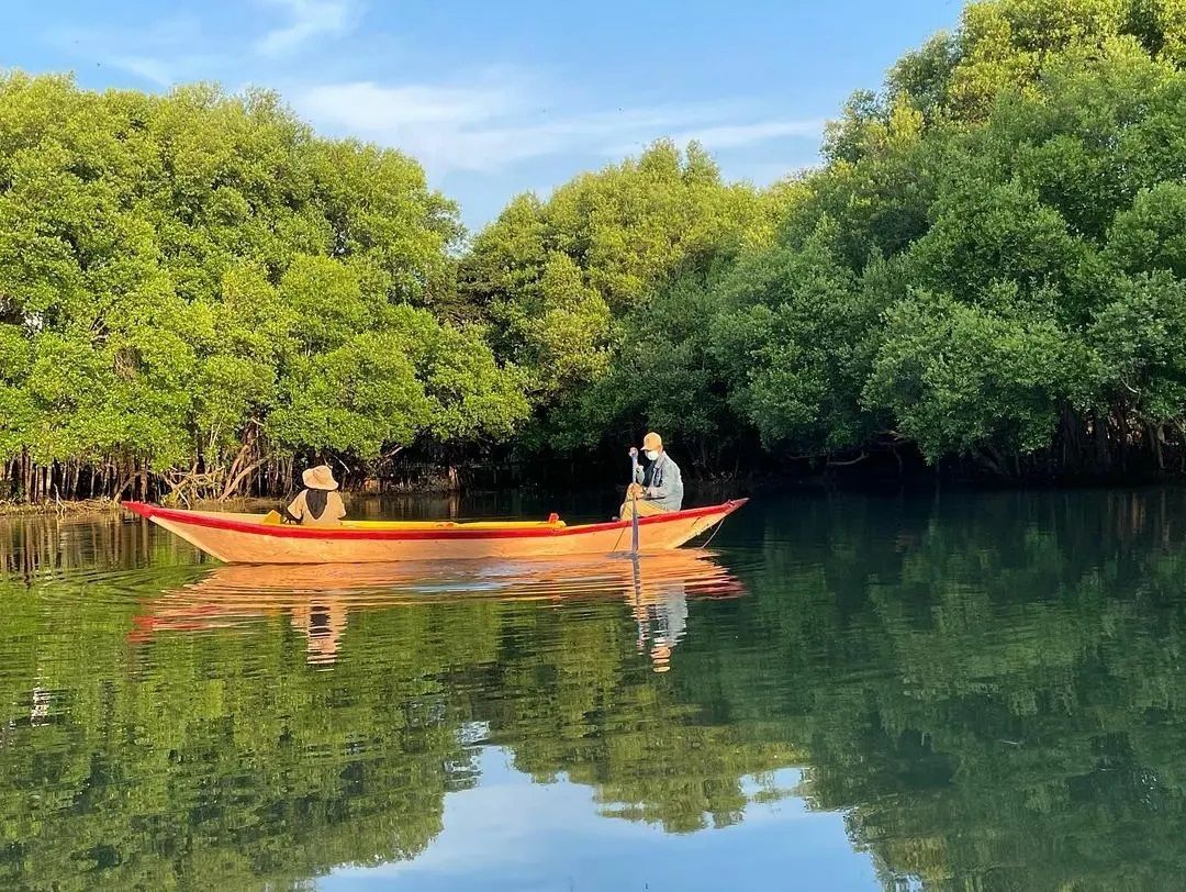 Taman Wisata Alam Mangrove Angke Kapuk 