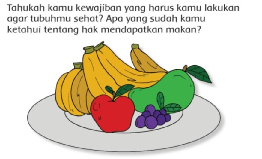 Kunci Jawaban Tema 4 Kelas 3 Sd Halaman 25 26 27 28 29 30 Kewajiban Dan Hak Tentang Makanan Portal Pekalongan<script async src=