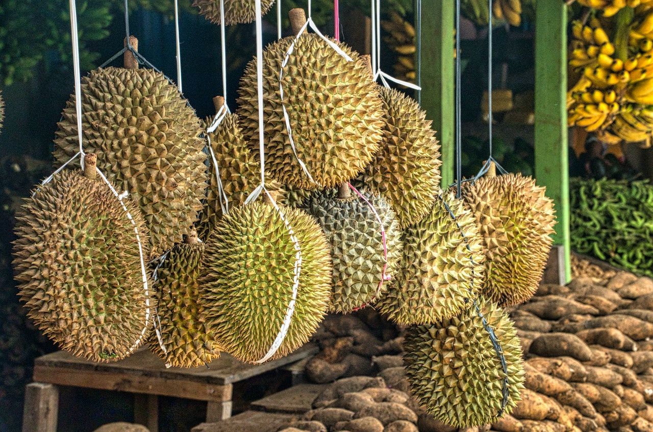 15 Arti Mimpi Makan Durian Menurut Primbon Jawa yang Belum Orang Ketahui, Cek Apa Kamu Pernah Alaminya?./*