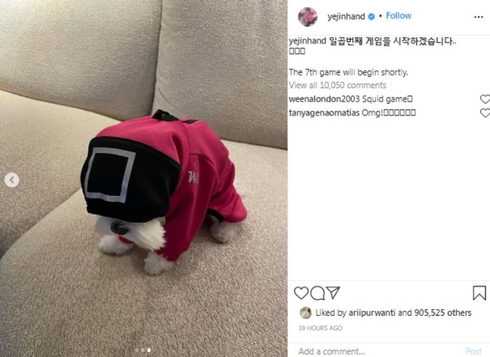Son Ye Jin Dandani Anjing Kesayangannya dengan Kostum Pengawal ‘Squid Game’. Netizen: Lucu Banget
