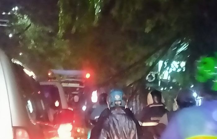 Pohon tumbang di Jalan Arcamanik Endah, Kota Bandung, Kamis 21 Oktober 2021
