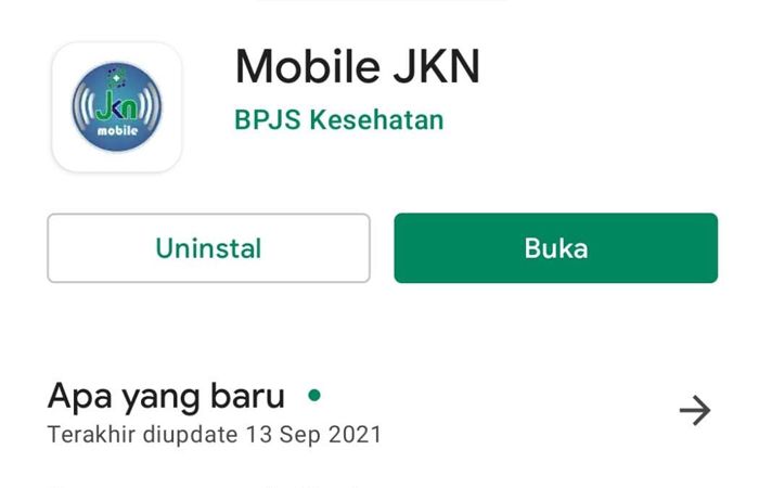 Apilkasi Mobile JKN di Play Store