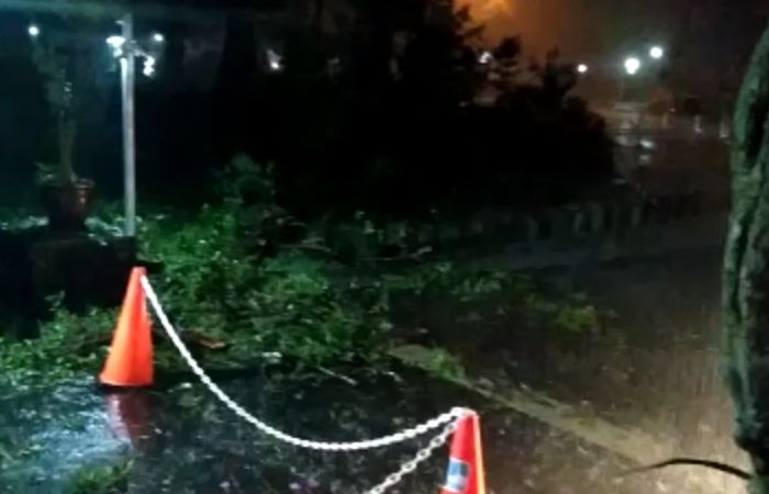 Satu pohon tumbang di Jalan Ganesa, Kota Bandung, Kamis 21 Oktober 2021