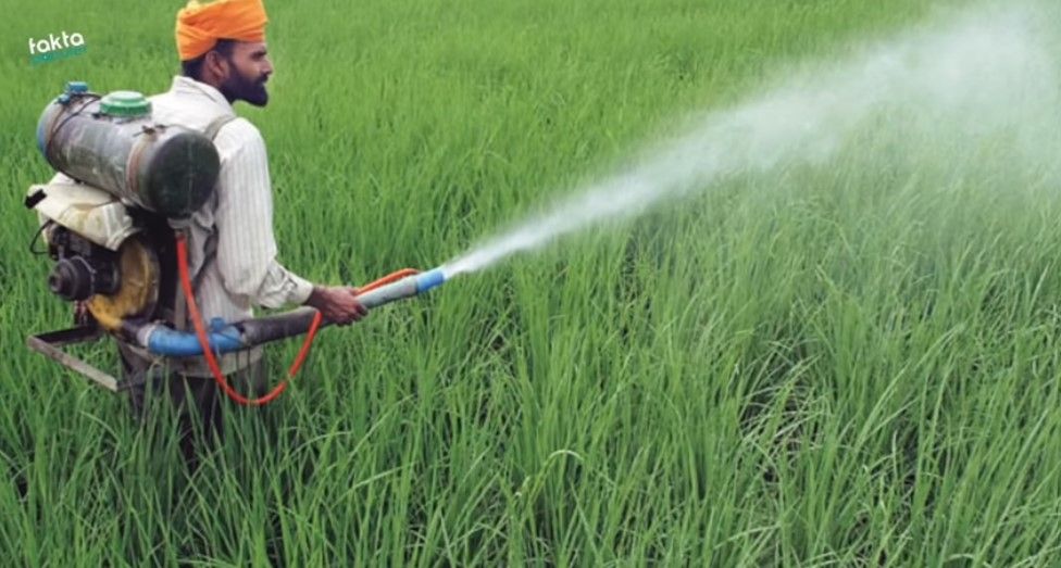 Ilustrasi, seorang Petani di Negeri Bollywood India Jadikan Minuman Ini Sebagai Pestisida, Bukan di Brunei
