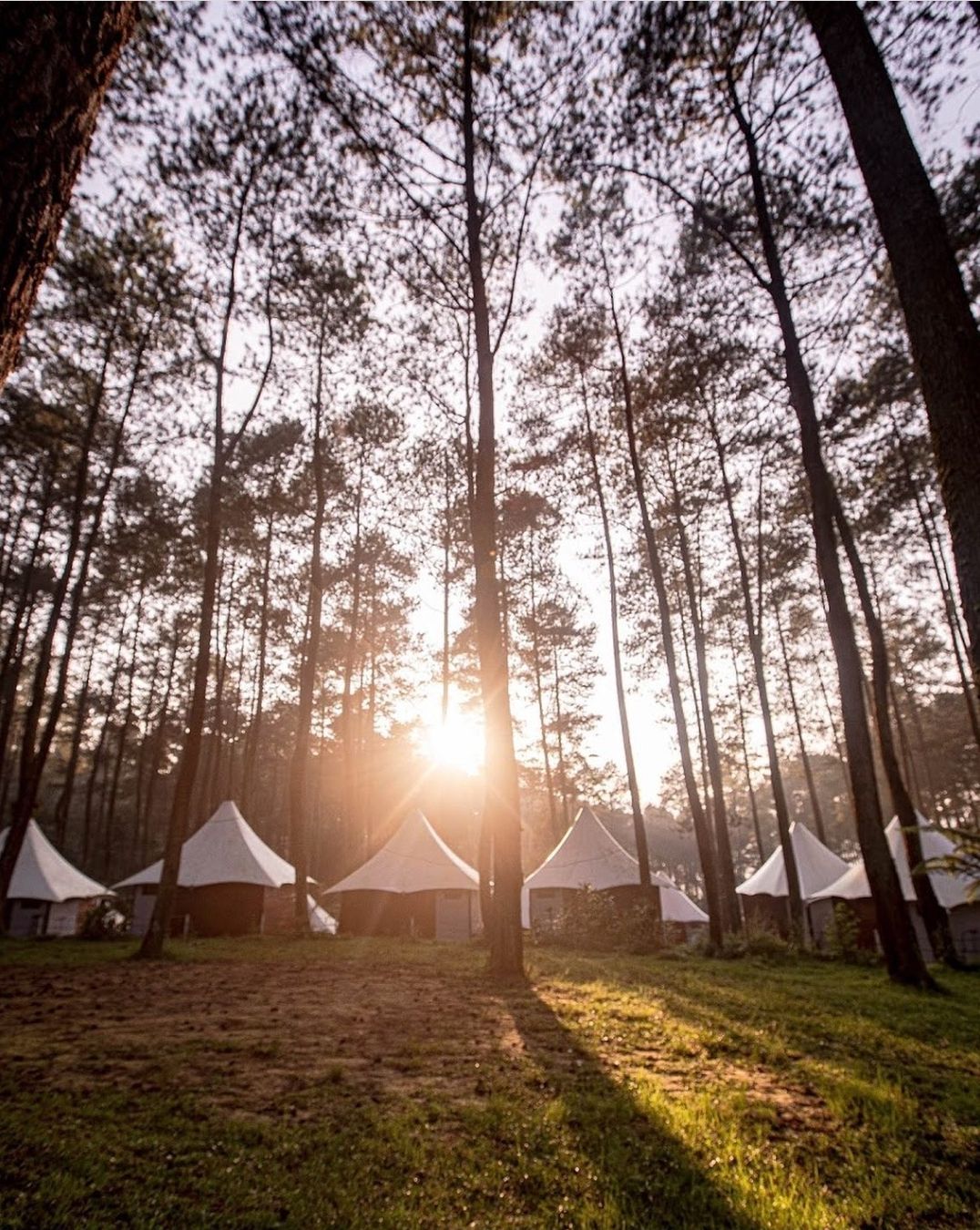 Aktivitas camping menjadi primadona wisata baru di tengah pandemi COVID-19