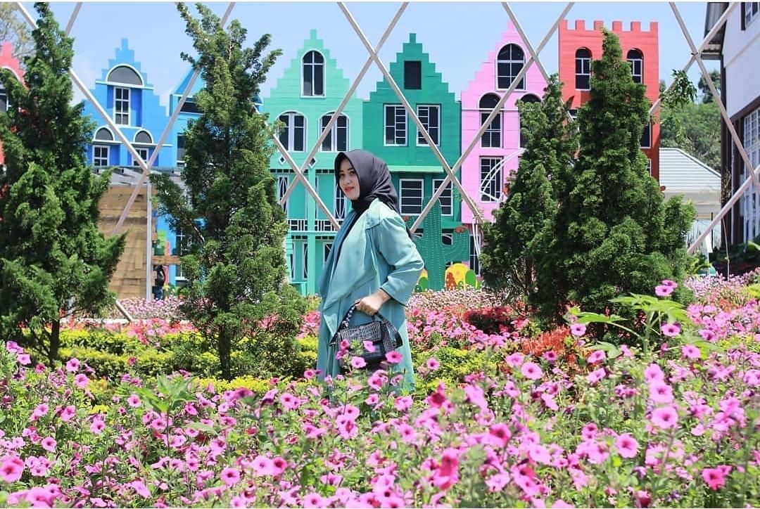 Taman Bunga Celosia Bandungan Semarang/tangkapan layar Instagram @bandungan.update